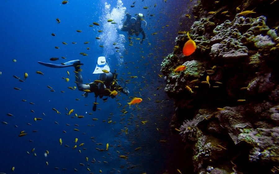 Diving Tour from Alanya & Side with Lunch - 2 Dives Included - Price and Extras: Is $52 Good Value?