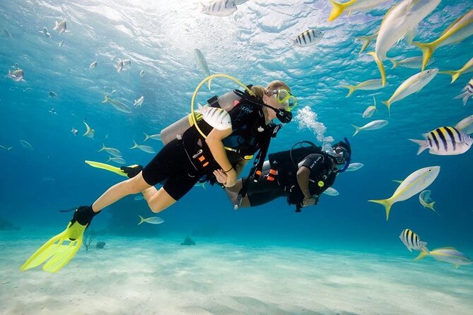 Diving Tour from Antalya or Kemer with Lunch - Key points to know before you go