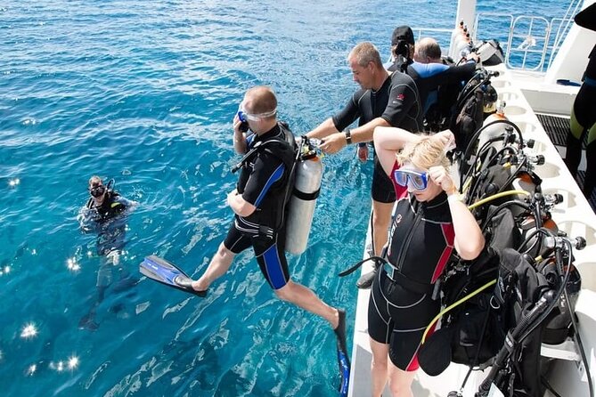 Diving Tour from Antalya or Kemer with Lunch - The 6-hour plan: a full outing without feeling trapped