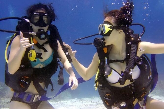 Diving Tour from Antalya or Kemer with Lunch - Equipment, instructors, and what beginner-friendly usually means here