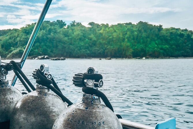 Diving tour in Isla del Caño for certified divers - Key Things to Know Before You Go