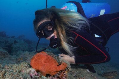 Diving tour in Isla del Caño for certified divers - Meet at Marisqueria Roberto’s and Work Around the 7:30am Start