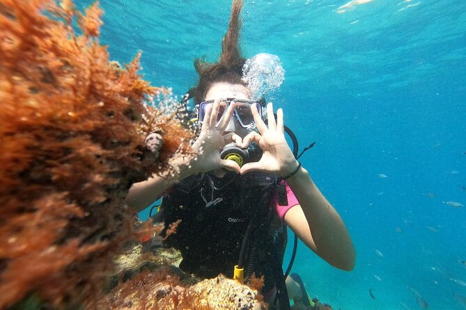 Diving with optional Pick Up - Drop Off from Antalya - Morning Underwater Session: What You’re Really Paying For