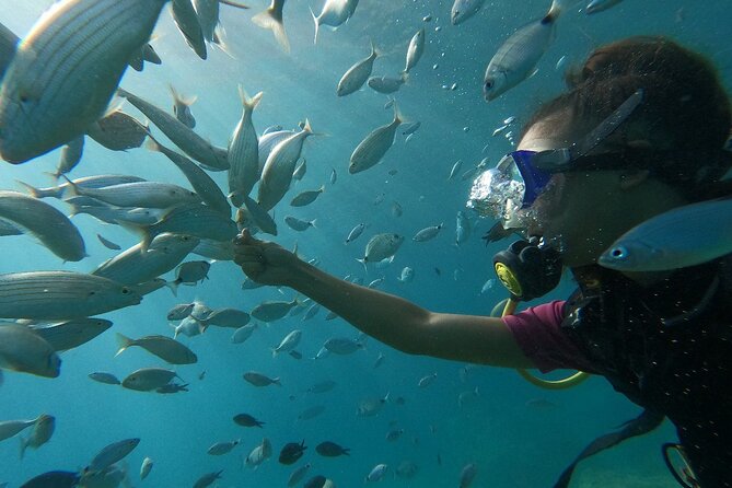 Diving with optional Pick Up - Drop Off from Antalya - Price and Value: Why $20 Can Make Sense Here