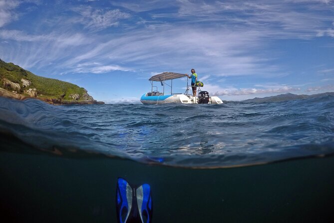 Diving with Turtles in Floripa - Why Xavier Island is the star of the morning