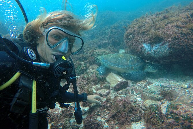 Diving with Turtles in Floripa - Your schedule: 8:00 check-in, 8:15 safety briefing, ~9:30 water time