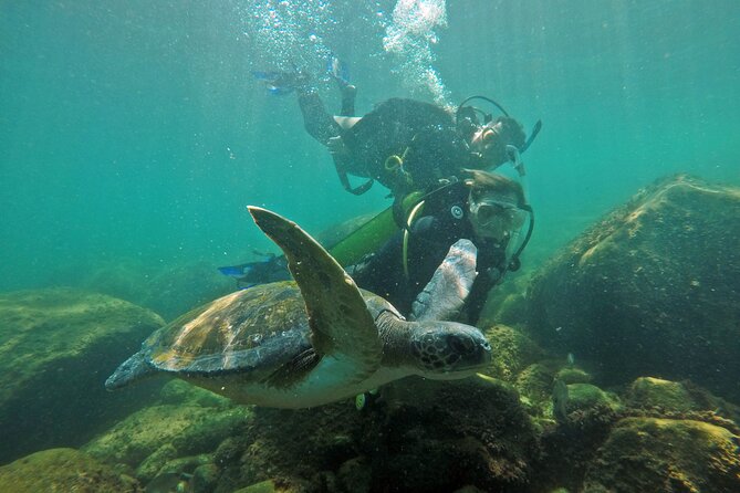 Diving with Turtles in Floripa - Boat comfort with a maximum of 8: why small matters