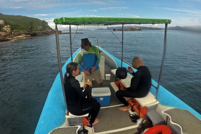 Diving with Turtles in Floripa - Who should book this (and who should reconsider)