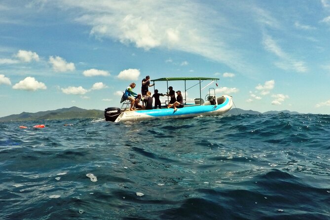 Diving with Turtles in Floripa - When weather changes the plan: plan for sea conditions