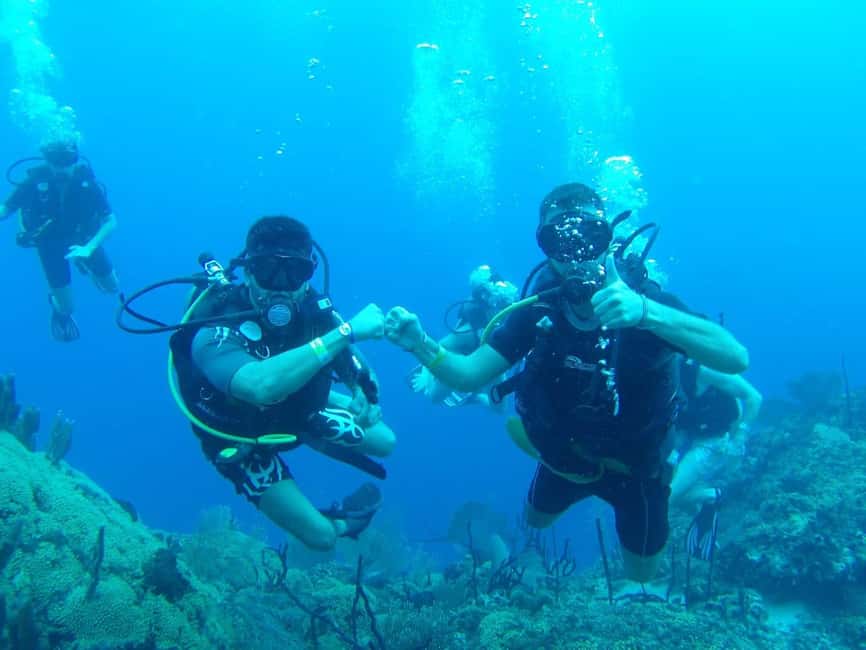 diving without a license catalina island from punta cana - Key highlights you’ll actually care about