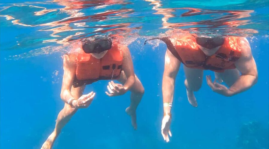 diving without a license catalina island from punta cana - What to bring, and what to wear