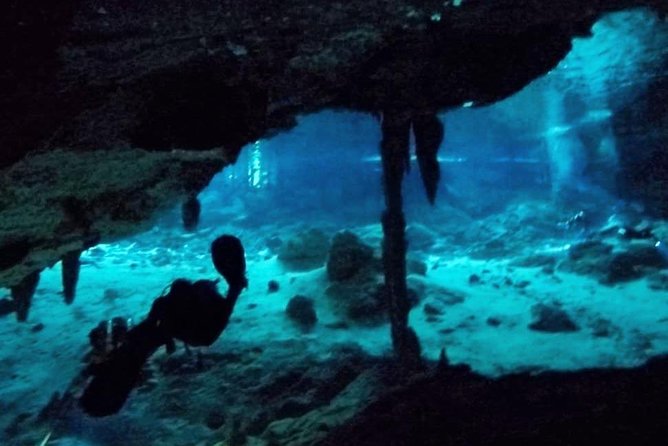 Dos Ojos Cenote Cavern Dive- The Barbie Line and The Bat Cave - Price and Group Size: What $230 really covers