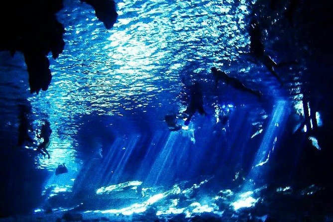 Dos Ojos Cenote Cavern Dive- The Barbie Line and The Bat Cave - Certification, recent experience, and why it changes your day