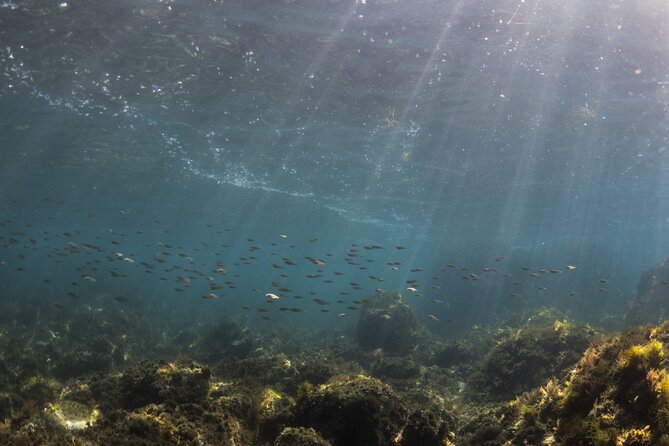 Double Discover Scuba Diving - Practical sessions: learning control in water that stays manageable