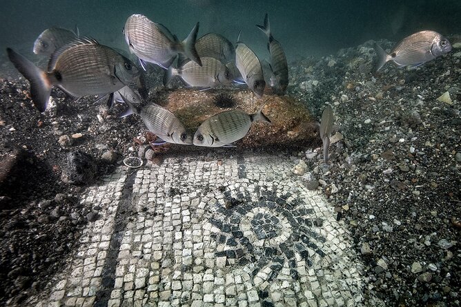 Double Dive in the Bay Park for certified divers - The human factor: your guide, the briefing quality, and small-group calm