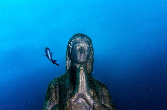 Double dive in the Punta Campanella Marine Protected Area - Should you book this two-session Punta Campanella outing?