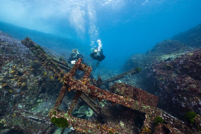 Double Dive to South Solitary Island Coffs Harbour - Why South Solitary Island is a strong Coffs Harbour choice
