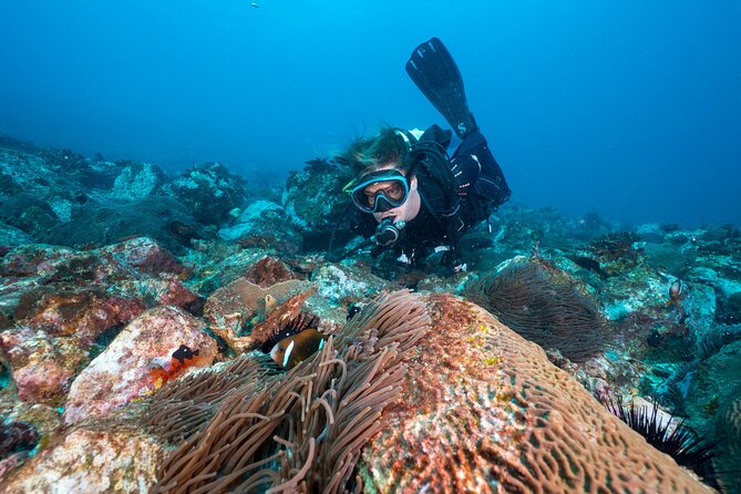 Double Dive to South Solitary Island Coffs Harbour - Two underwater sessions: how the day is paced
