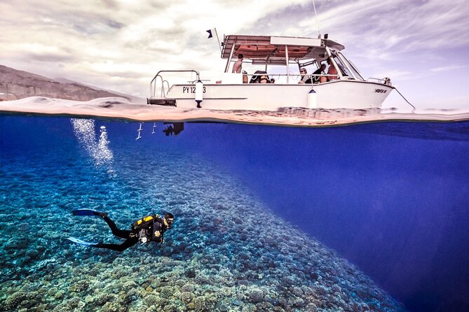 Double Diving Adventure Exploration for Certified Divers - Key things I’d watch before you go
