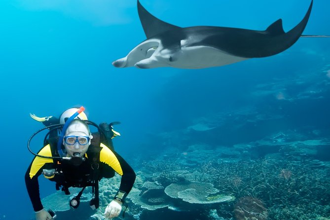 Double Diving in Sal Island - Half Day - Tanks, weights, and what you may still need to rent