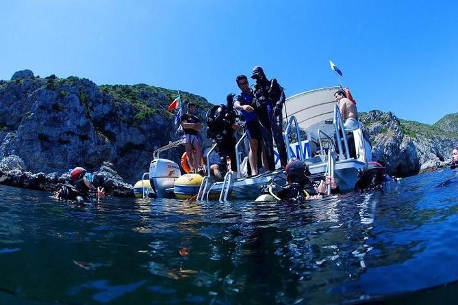 Double dream dive on a Maritime Reserve - Key highlights to know before you go