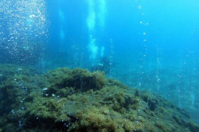 Double Scuba Diving - Where you meet in Vila Franca do Campo and why it’s convenient