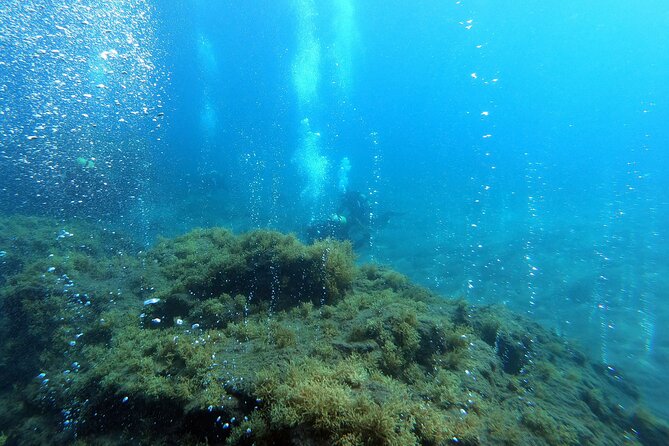 Double Scuba Diving - Where you meet in Vila Franca do Campo and why it’s convenient