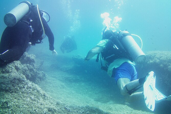 Double Shore Dive (certified divers) - The short schedule: what “about 35 minutes” means in practice