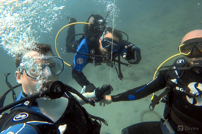 Double Shore Dive (certified divers) - Equipment, snacks, and the “little wins” that make it smoother