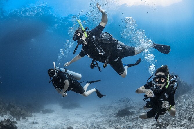 Dream to Dive full Course & private Dive Instructor PADI - Key highlights worth planning around