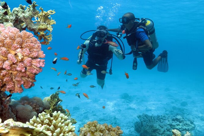 Dream to Dive full Course & private Dive Instructor PADI - Hurghada PADI full course: what you really get in 3 days