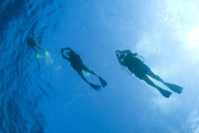 Dream to Dive full Course & private Dive Instructor PADI - Makadi Bay vs El Gouna: how the water and departure points can change the day