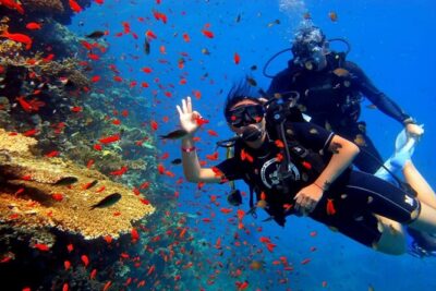 Dream to Dive full Course & private Dive Instructor PADI - Pool sessions first: the skills that make you feel safe
