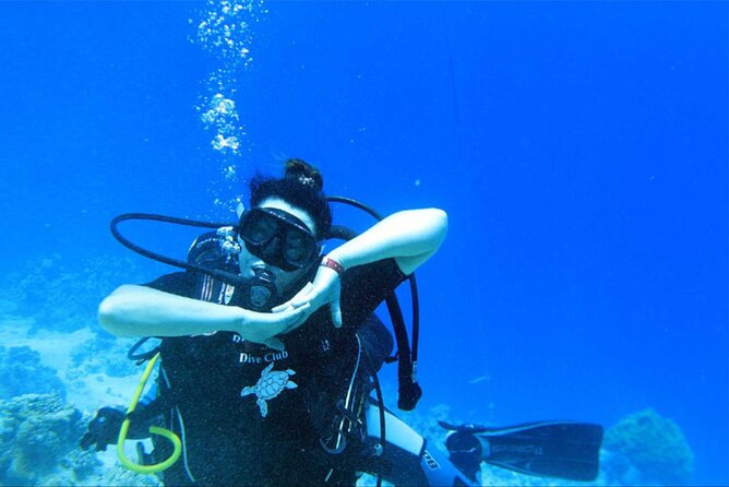 Dream to Dive full Course & private Dive Instructor PADI - Private instructor focus: why the coaching level matters
