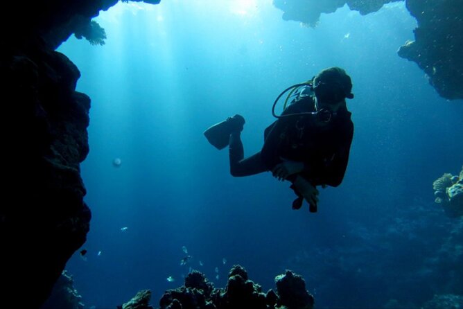 Dream to Dive full Course & private Dive Instructor PADI - Price and value check for $593.69 per person