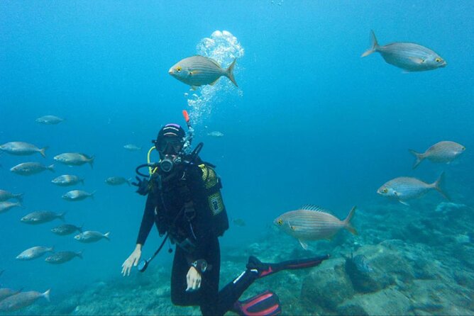 Dream to Dive full Course & private Dive Instructor PADI - Equipment and comfort details you’ll feel during training