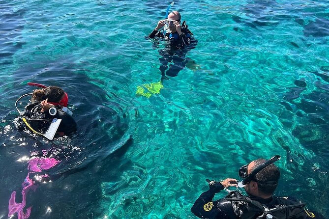 DSD | Discover scuba Diving Experience in Paros - Skills first, then a scenic underwater tour back to the boat