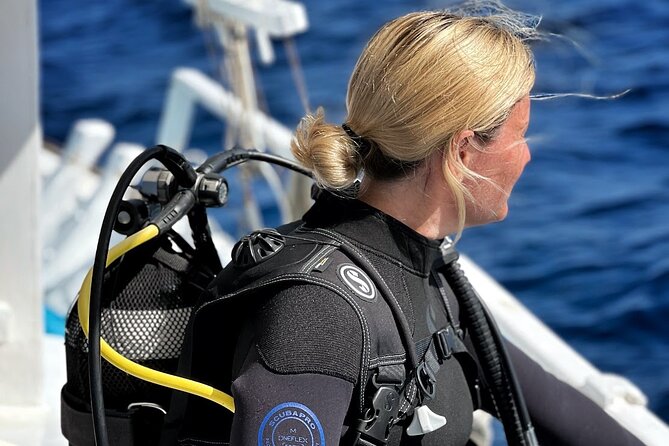 DSD | Discover scuba Diving Experience in Paros - Who should book this experience