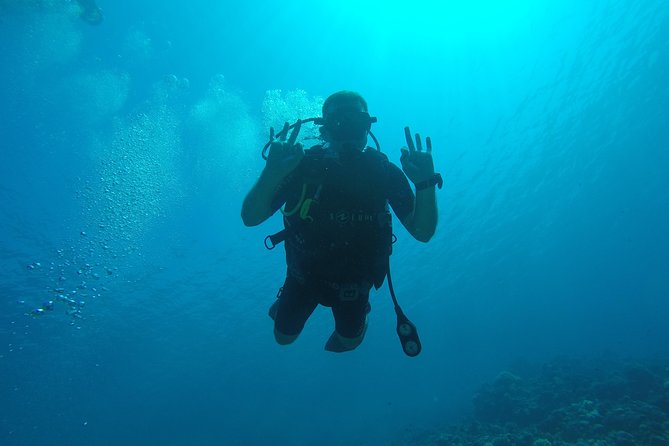 DSD "Discover Scuba Diving" (Min Age 10 Years) - The Guided Underwater Session: Your First Real Go-Under Moment