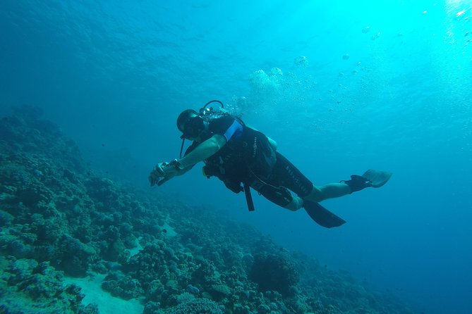 DSD "Discover Scuba Diving" (Min Age 10 Years) - Lunch and Hot Drinks: A Surprise Part of the Value