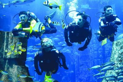 Dubai Lost Chambers Dive Discovery - Your Underwater Tour in the Ambassador Lagoon: Atlantis Ruins and Gulf Life