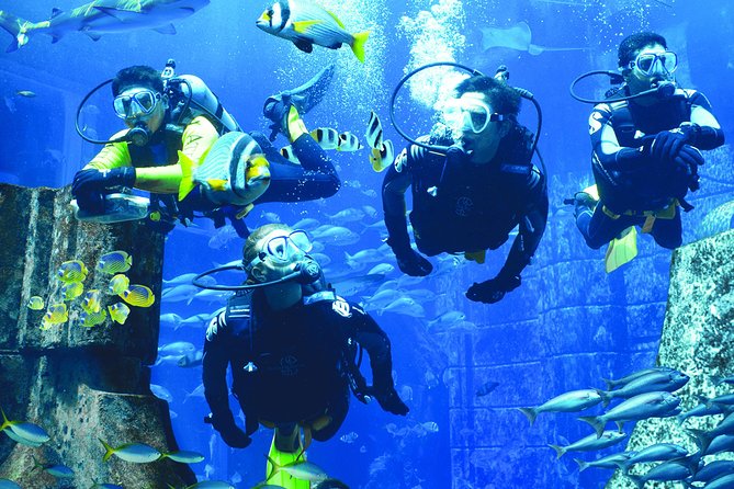 Dubai Lost Chambers Dive Discovery - Your Underwater Tour in the Ambassador Lagoon: Atlantis Ruins and Gulf Life
