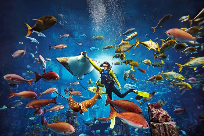 Dubai Lost Chambers Dive Explorer (Certification Required) - Getting there and check-in: what you need ready before your water time
