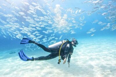 Dubai: PADI Basic Scuba Diving Course - Before you touch the water: e-learning concepts at home
