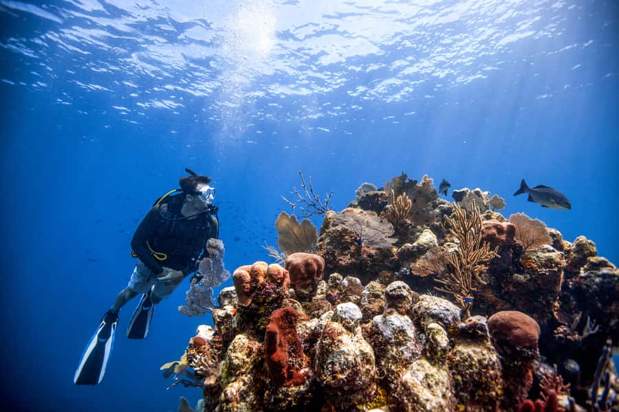 Dubai: PADI Open Water 18-Meter Diving Certification - Who This Course Fits Best (and Who Should Skip It)