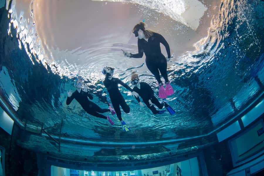 Dubai: Snorkeling at Deep Dive World's Deepest Pool - Key things I’d prioritize before you go