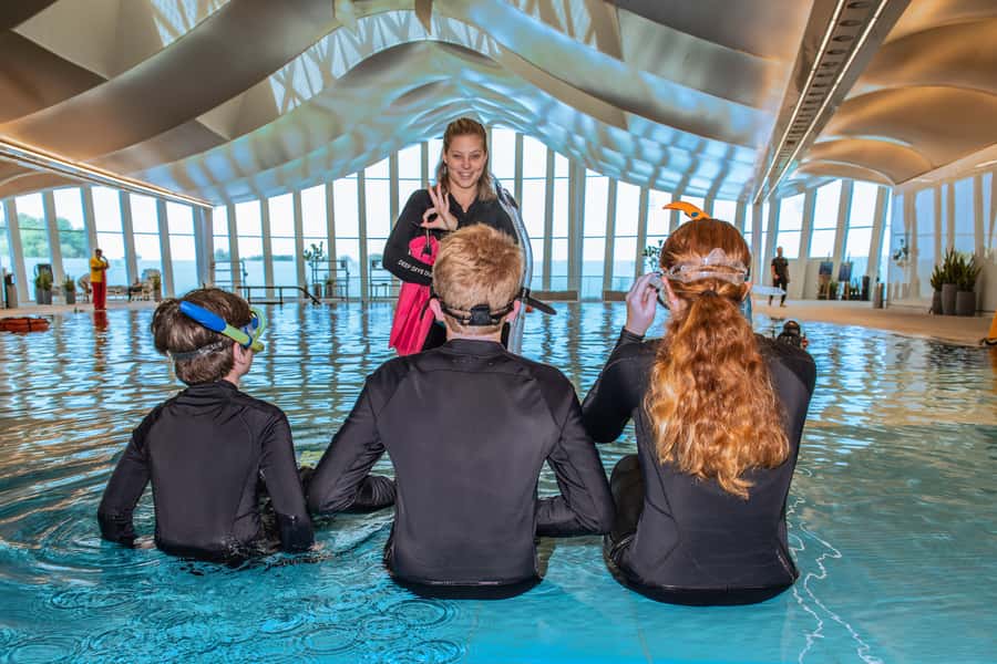 Dubai: Snorkeling at Deep Dive World's Deepest Pool - Snorkeling in Dubai’s 60m pool: what makes it special