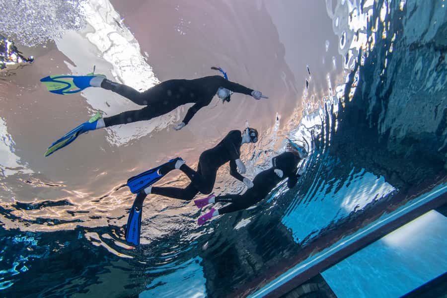 Dubai: Snorkeling at Deep Dive World's Deepest Pool - Inside the themed sunken city: what you’ll see from the water