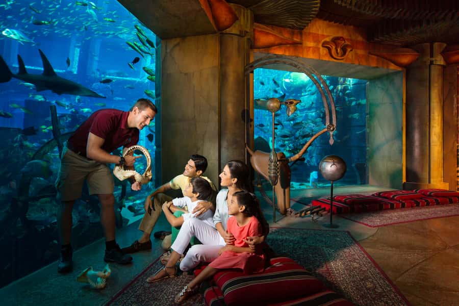 Dubai: The Lost Chambers Aquarium Atlantis Diving Experience - Key things to know before you go