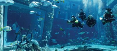 Dubai: The Lost Chambers Aquarium Atlantis Diving Experience - What the water temperature and 1-to-1 coaching really mean